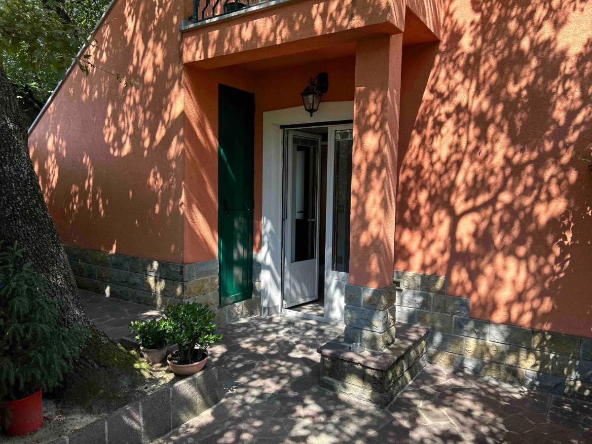 Ai 2 Olmi - Monolocali Nel Verde Muggia Exterior photo